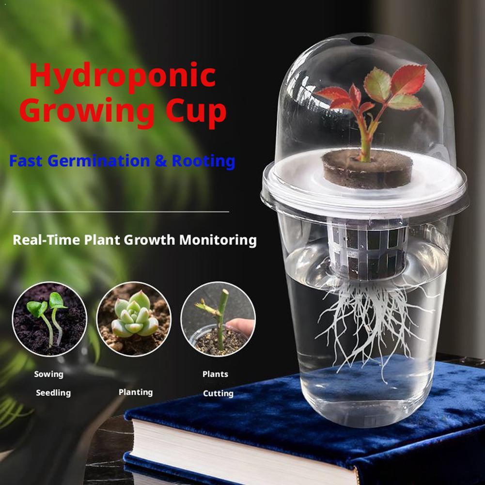 Hydroponic Tower - Vaso idroponico trasparente in plastica per