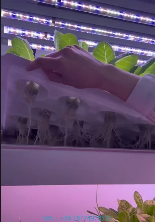 Hydroponic Tower - f Attrezzature agricole per serra Coltiva