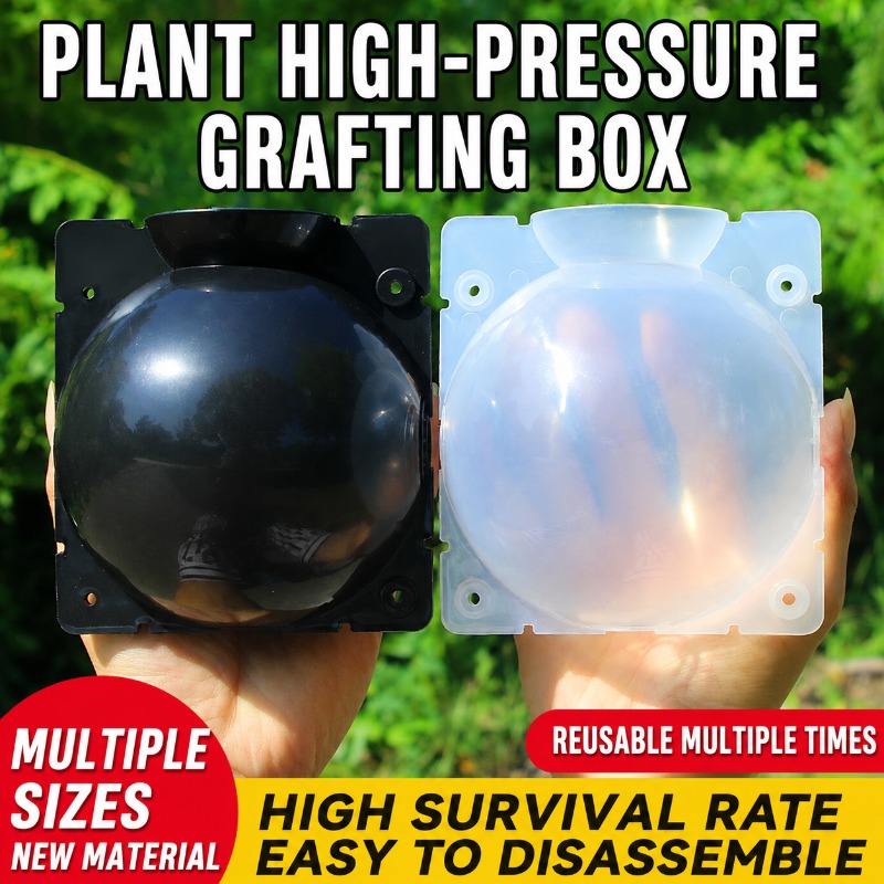 Indoor Garden Kit - Kit di propagazione delle piante da