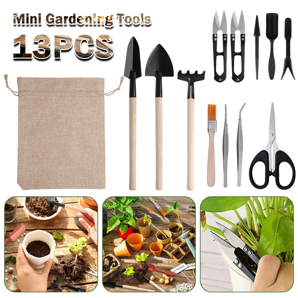Indoor Garden Kit - Set di attrezzi per piante succulente