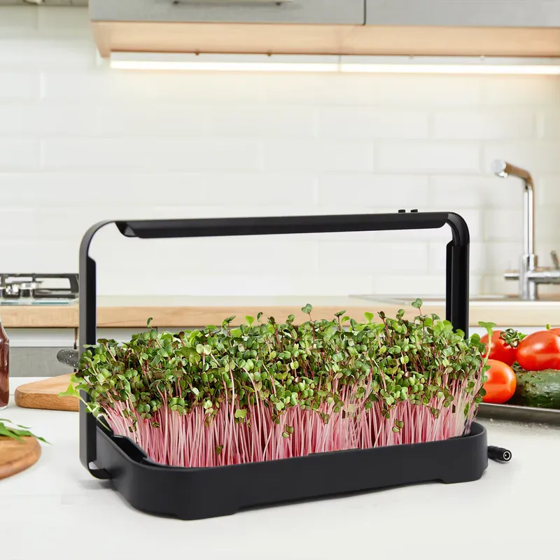 Smart Garden System - Vassoio Idroponico per Microgreens da Interno,