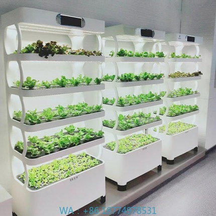 Grow Light Led - Sistema di coltivazione automatizzato idroponico Sistema