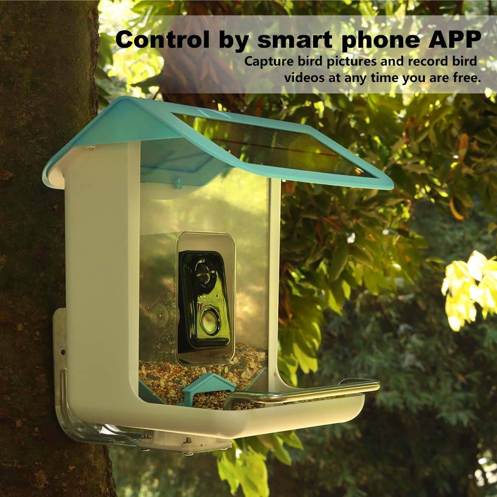 Telecamera Wi-Fi per Fauna Sel - Garden Camera recensione e prezzo