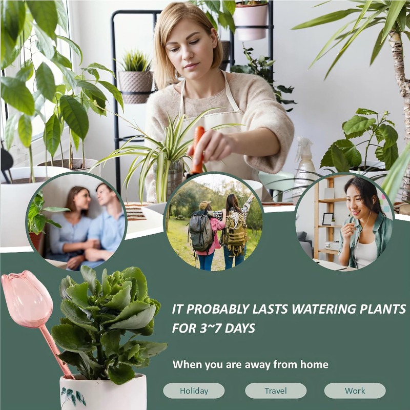 Sfere per Irrigazione a Forma  - Plant Sensor recensione e prezzo