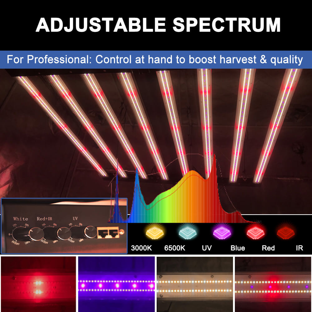 Luci LED per Coltivazione PPFD - Grow Light Led recensione e prezzo