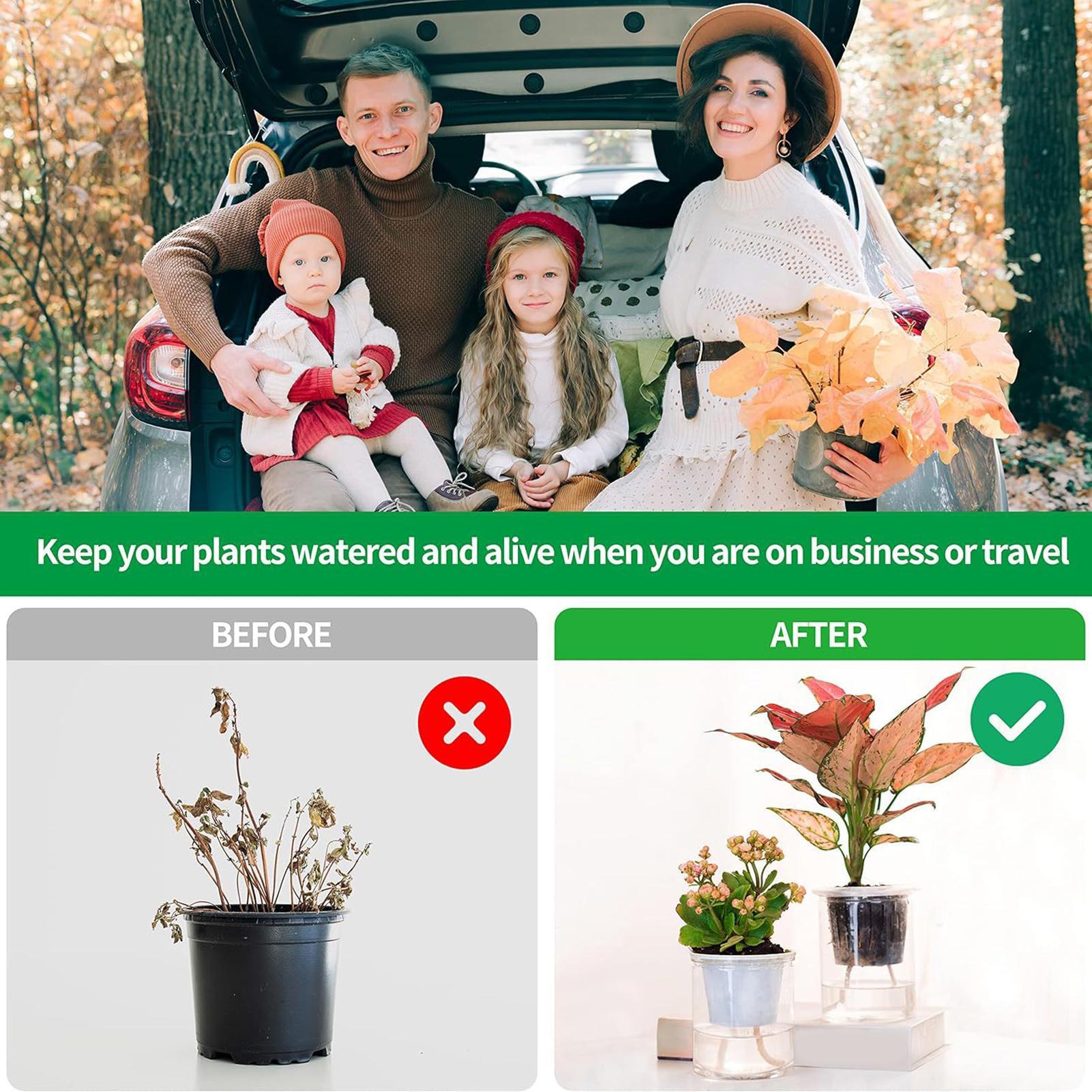 Corda per irrigazione automati - Self Watering Planter recensione e prezzo