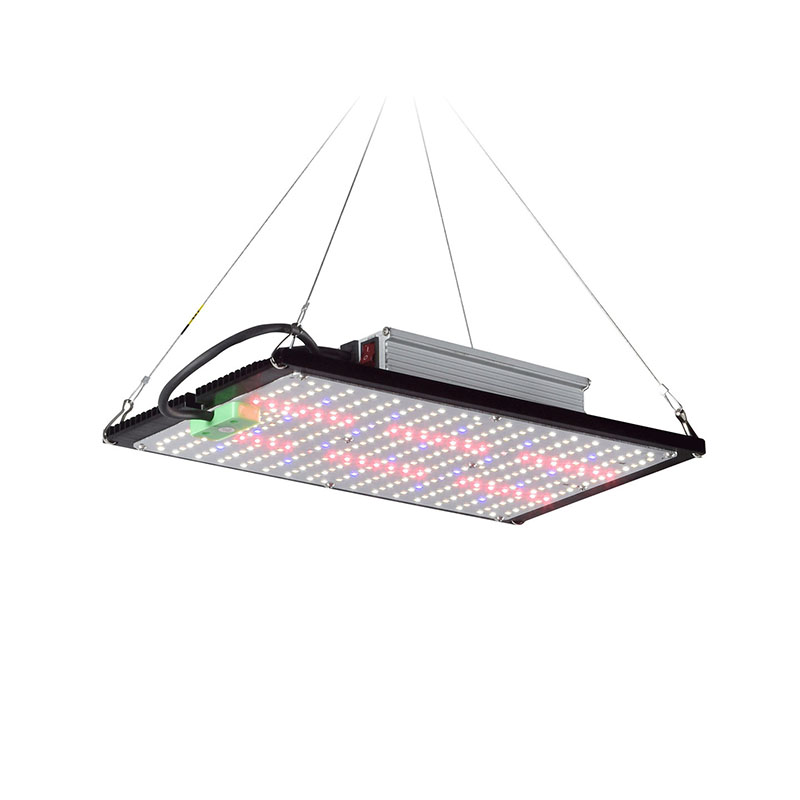 Lampada LED Quantum-Board per  - Plant Grow Light Full Spectrum recensione e prezzo
