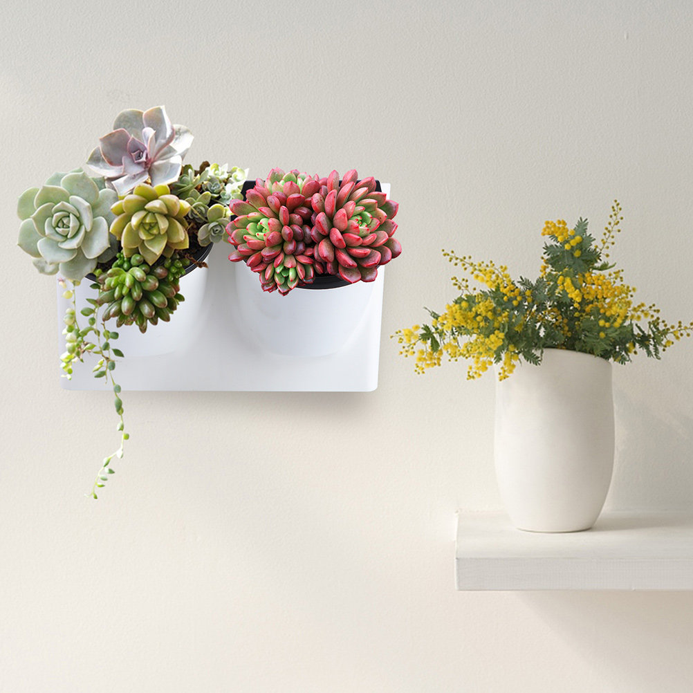 Vaso per Fiori Autoirrigante i - Self Watering Planter recensione e prezzo