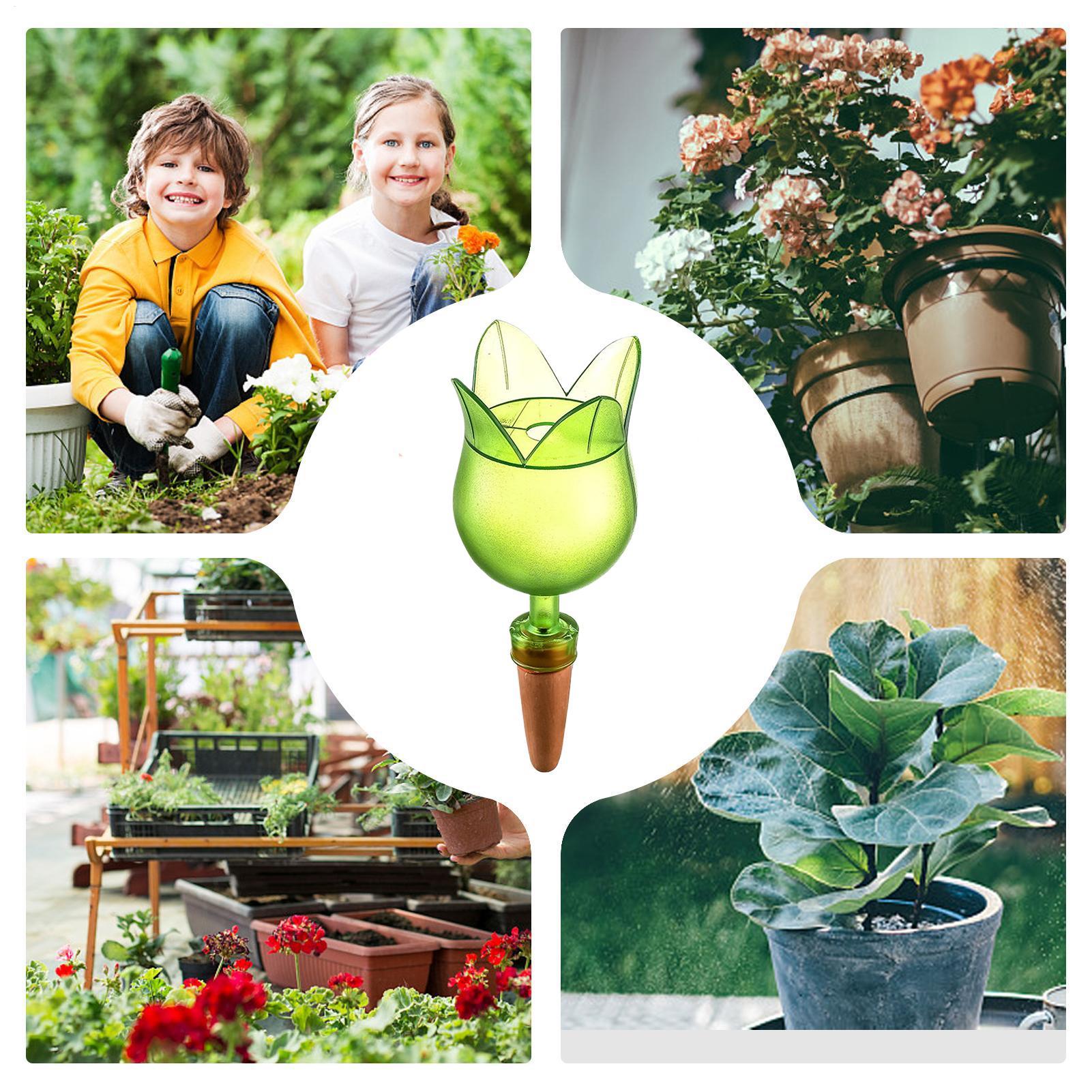 Dispositivi di irrigazione aut - Self Watering Planter recensione e prezzo