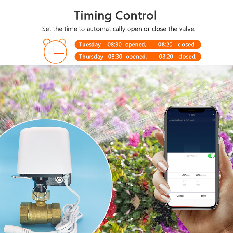 Valvola dell'Acqua WiFi Tuya Z - Smart Garden System recensione e prezzo