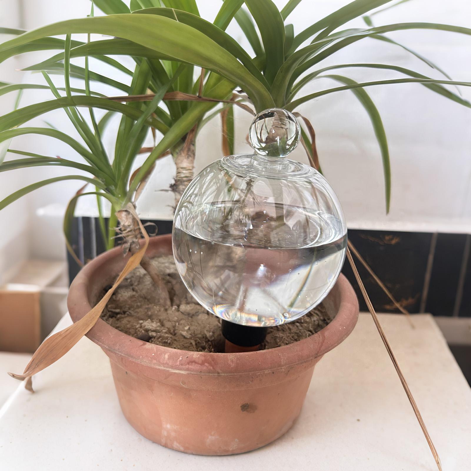 Globi per Irrigazione Piante 4 - Plant Sensor recensione e prezzo
