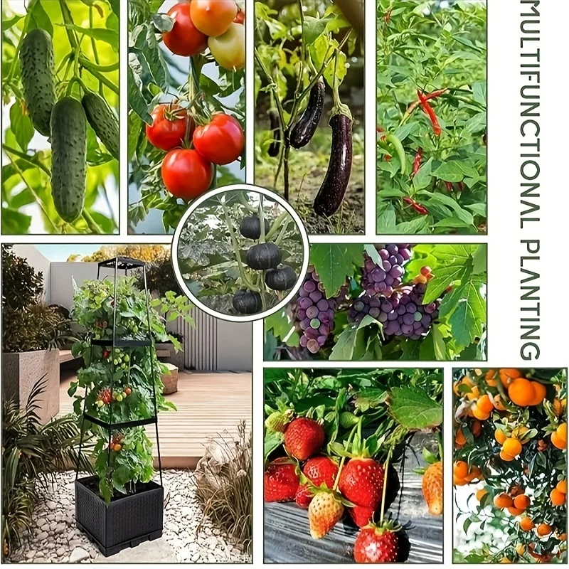 Torre per pomodori con fiorier - Hydroponic Tower recensione e prezzo