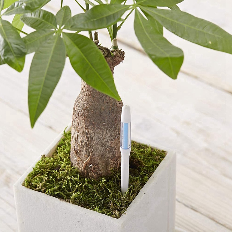 Aquameter, 5 pezzi, sensore di - Plant Sensor recensione e prezzo