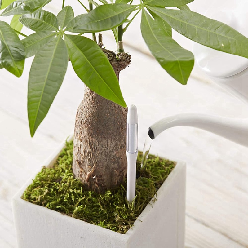 Aquameter, 5 pezzi, sensore di - Plant Sensor recensione e prezzo