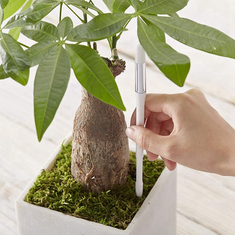 Aquameter, 5 pezzi, sensore di - Plant Sensor recensione e prezzo