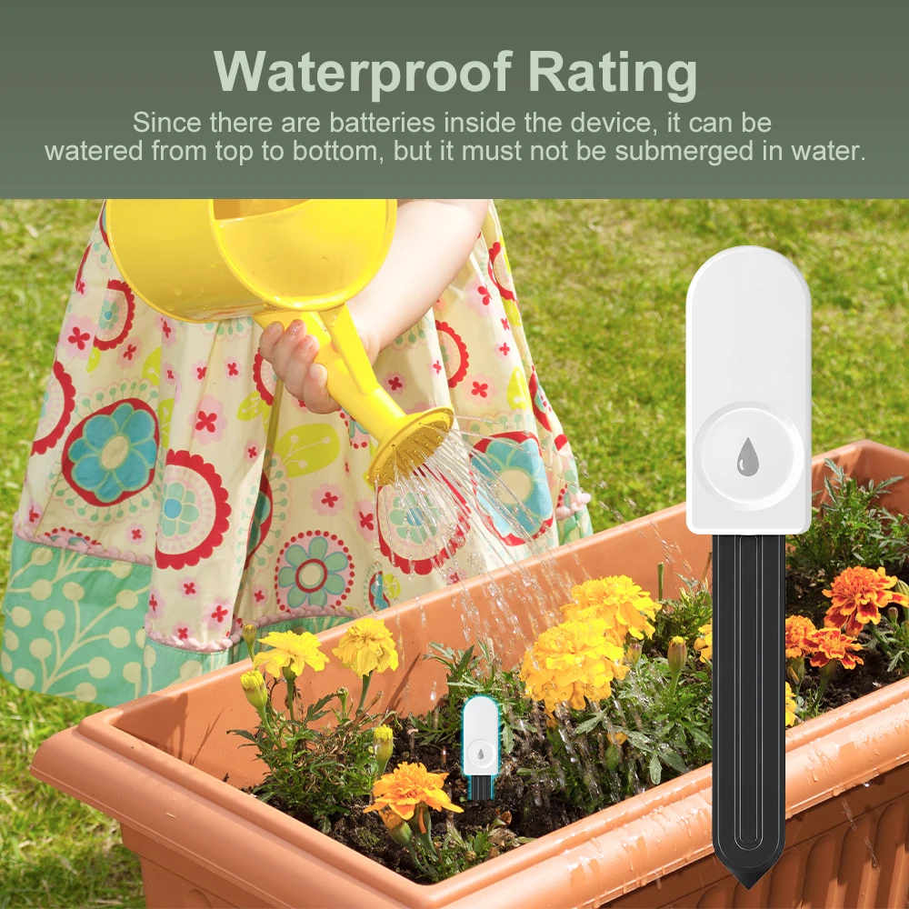 5 pezzi Tester di Umidità del  - Garden Camera recensione e prezzo