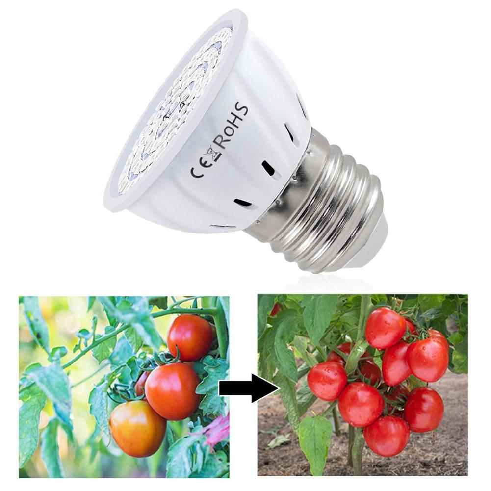 Lampadina LED per Coltivazione - Plant Grow Light Full Spectrum recensione e prezzo