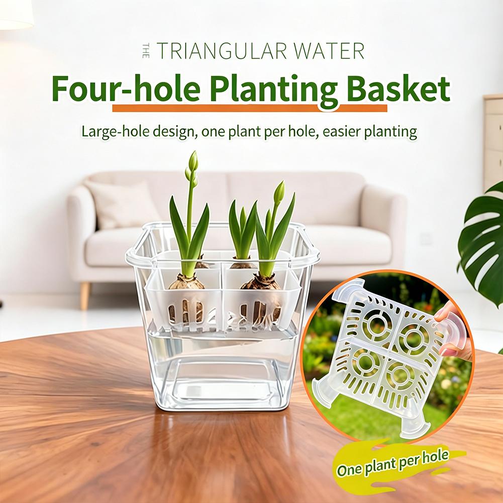 Vaso Idroponico per Tulipani c - Hydroponic Grow Pod recensione e prezzo