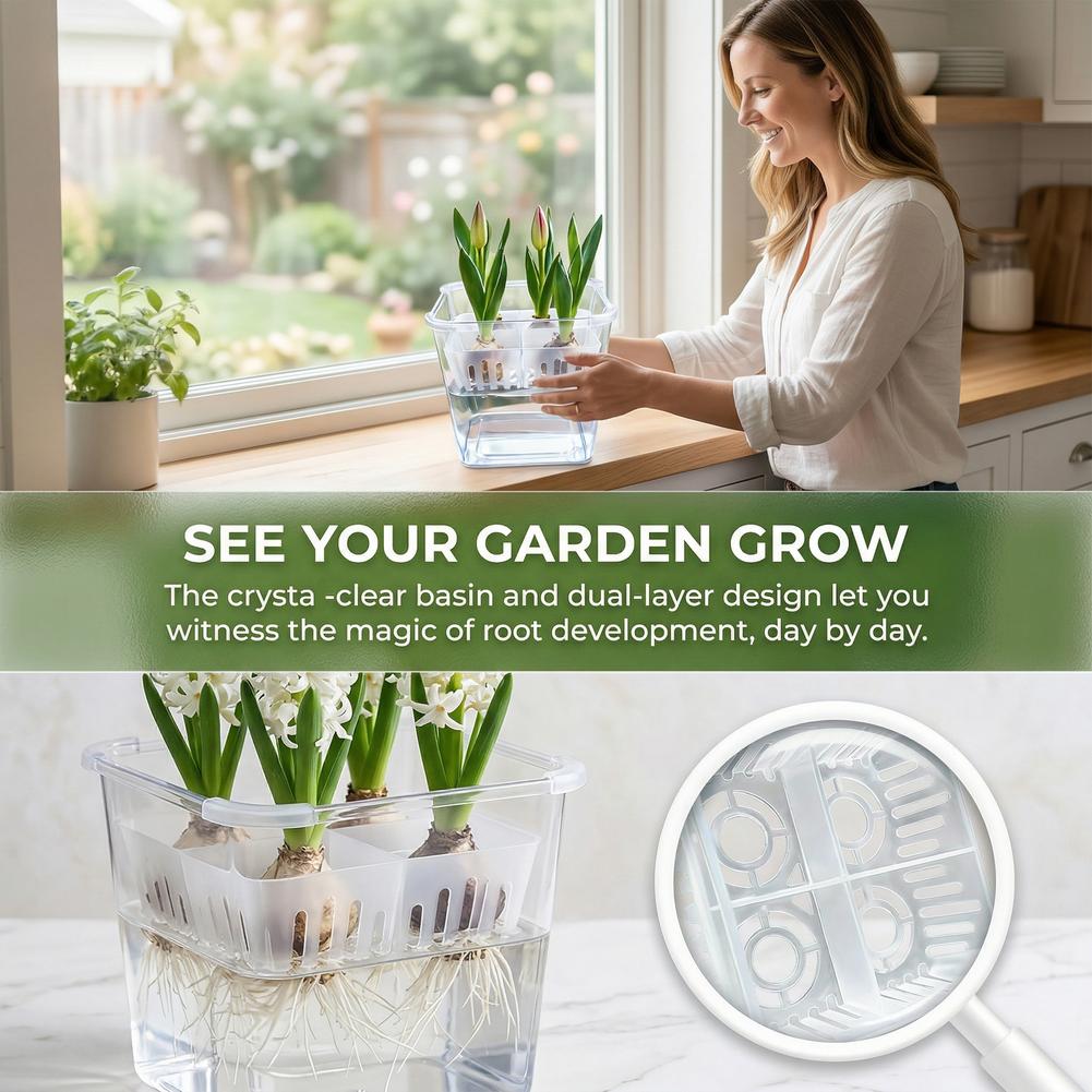 Vaso Idroponico per Tulipani c - Hydroponic Grow Pod recensione e prezzo