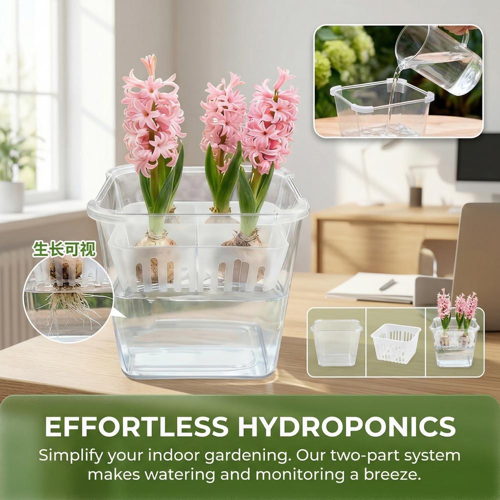 Vaso Idroponico per Tulipani c - Hydroponic Grow Pod recensione e prezzo