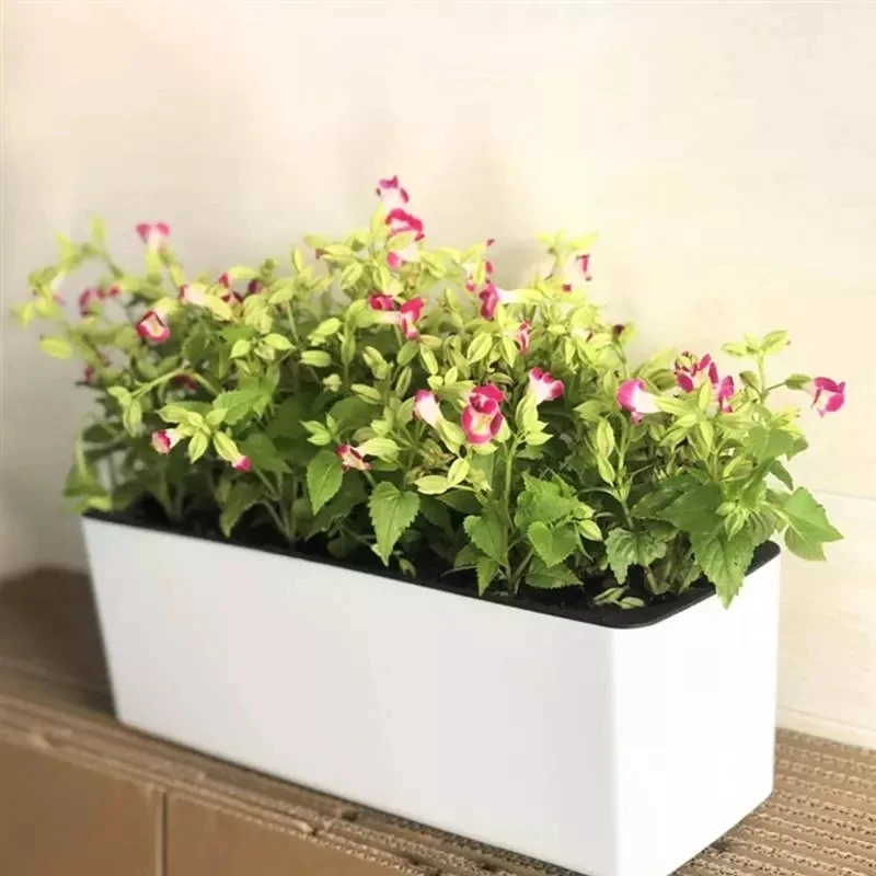Vaso da fiori pigro rettangola - Hydroponic Grow Pod recensione e prezzo