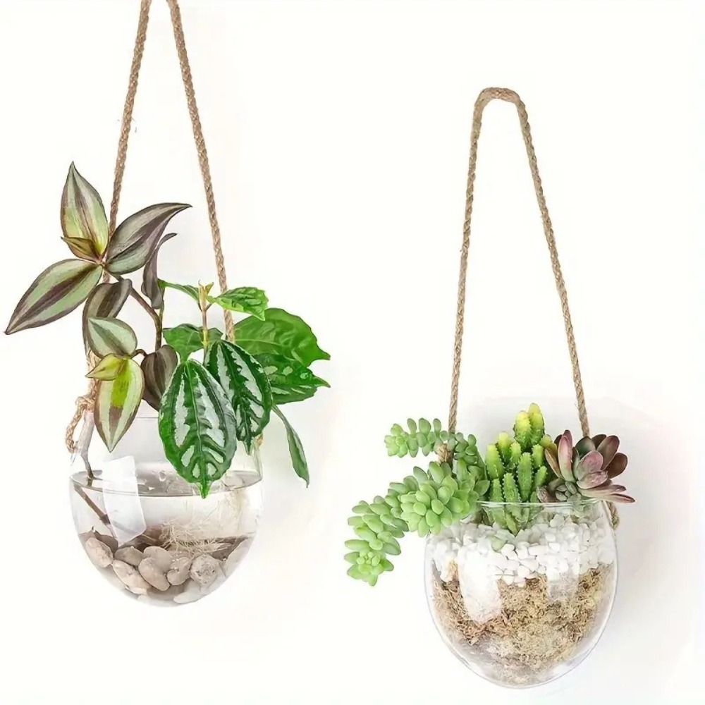 Vaso Sospeso Idroponico Traspa - Hydroponic Grow Pod recensione e prezzo