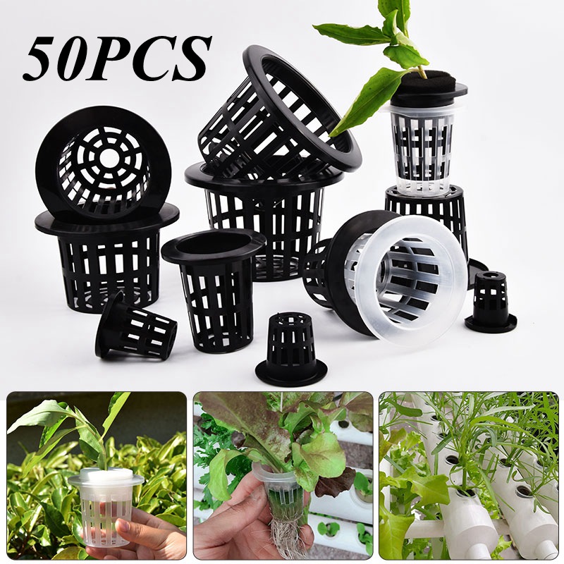 50 Pezzi Vasi per Coltivazione - Hydroponic Grow Pod recensione e prezzo