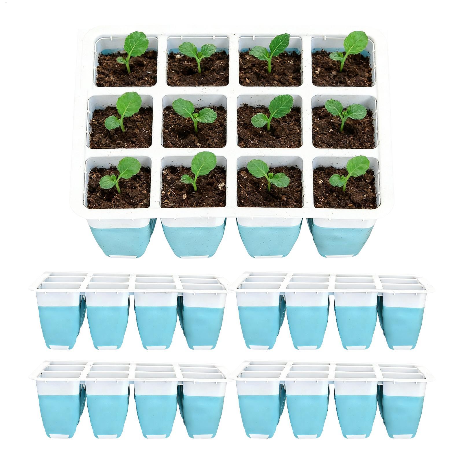 Set di 5 Vassoi in Silicone pe - Indoor Garden Kit recensione e prezzo