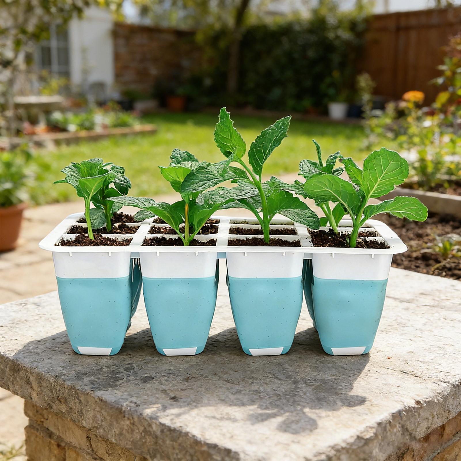 Set di 5 Vassoi in Silicone pe - Indoor Garden Kit recensione e prezzo