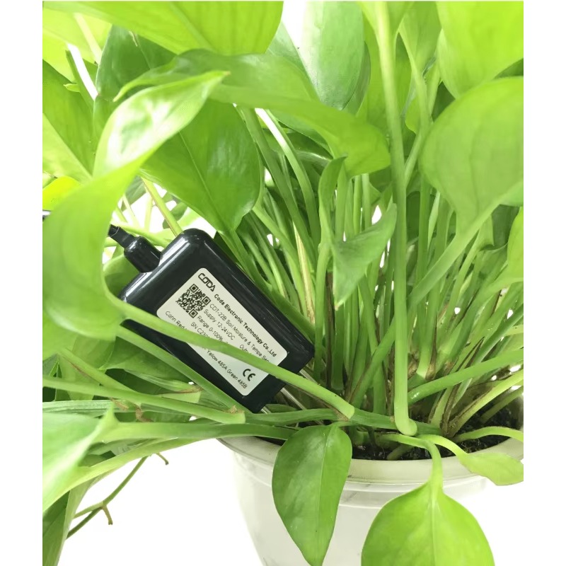 CDT-30B Rs485 0-2v Uscita Impi - Plant Sensor recensione e prezzo