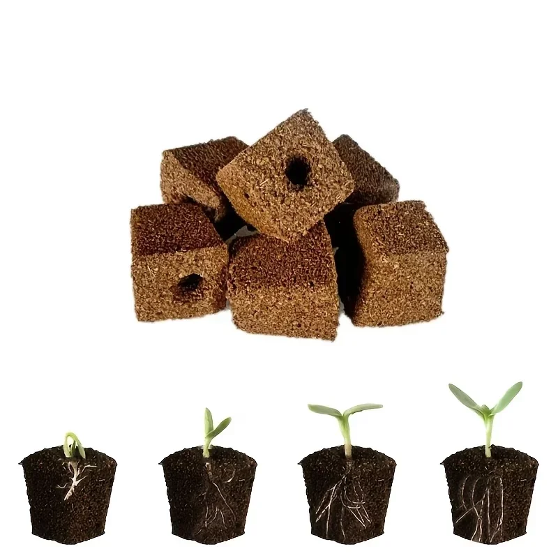 Kit di Spugne per Germinazione - Indoor Garden Kit recensione e prezzo