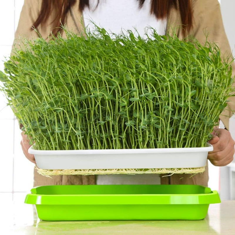 Vassoio per la Germinazione di - Hydroponic Grow Pod recensione e prezzo