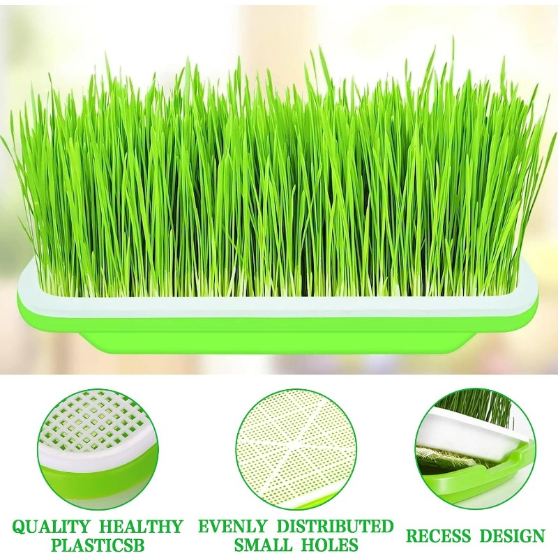 Vassoio per la Germinazione di - Hydroponic Grow Pod recensione e prezzo