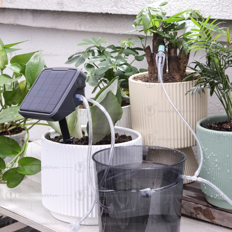 Dispositivo di Irrigazione Aut - Automatic Watering recensione e prezzo