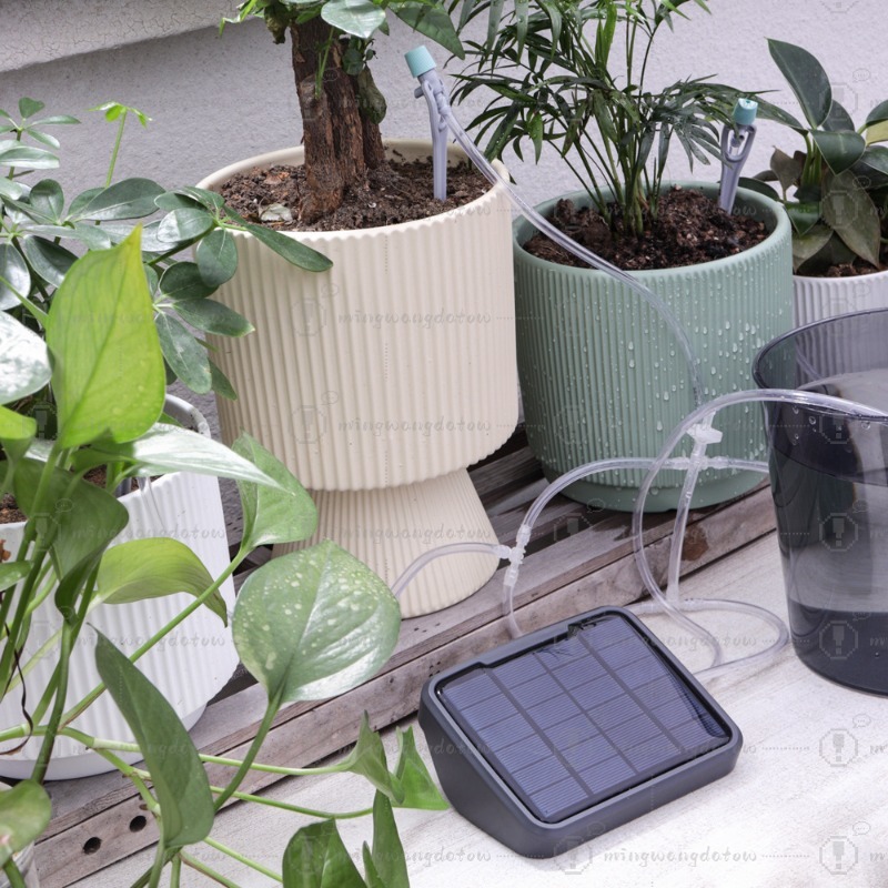 Dispositivo di Irrigazione Aut - Automatic Watering recensione e prezzo