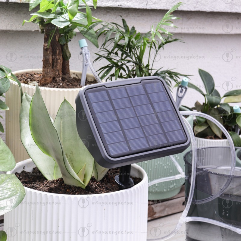 Dispositivo di Irrigazione Aut - Automatic Watering recensione e prezzo
