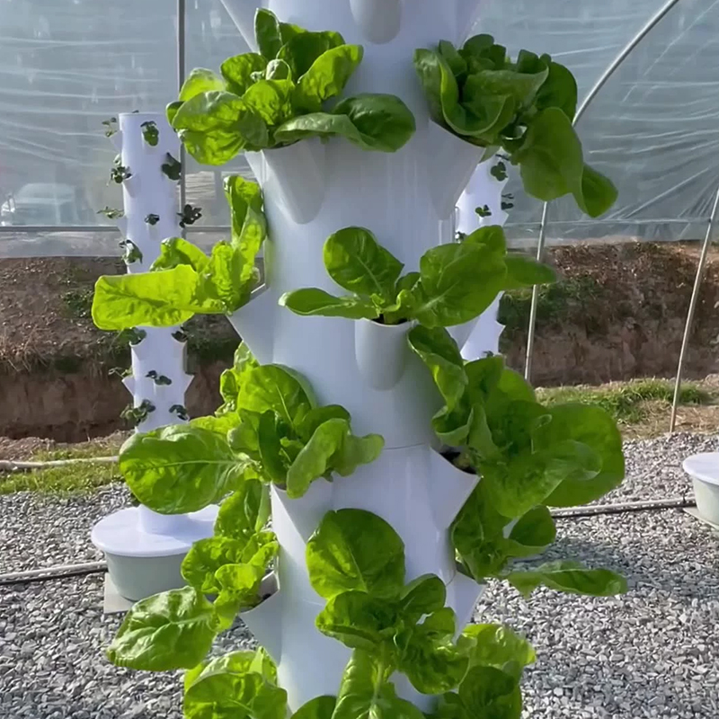 Con Led Coltiva La Luce Spazio - Hydroponic Tower recensione e prezzo