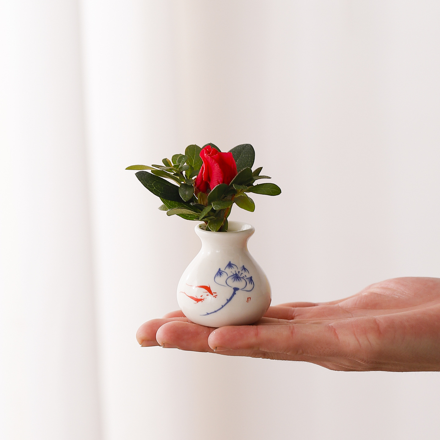 Vaso in ceramica retrò, piccol - Hydroponic Grow Pod recensione e prezzo