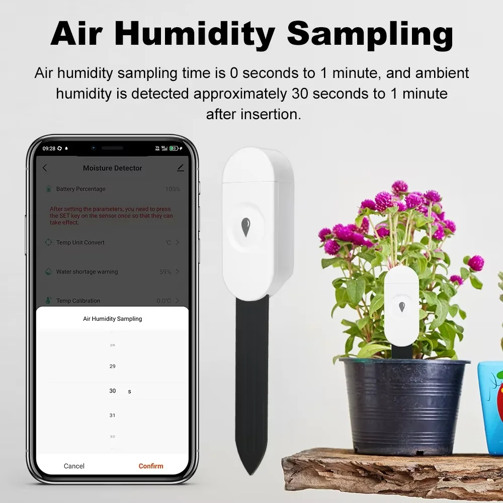 Rilevatore di Temperatura e Um - Garden Camera recensione e prezzo